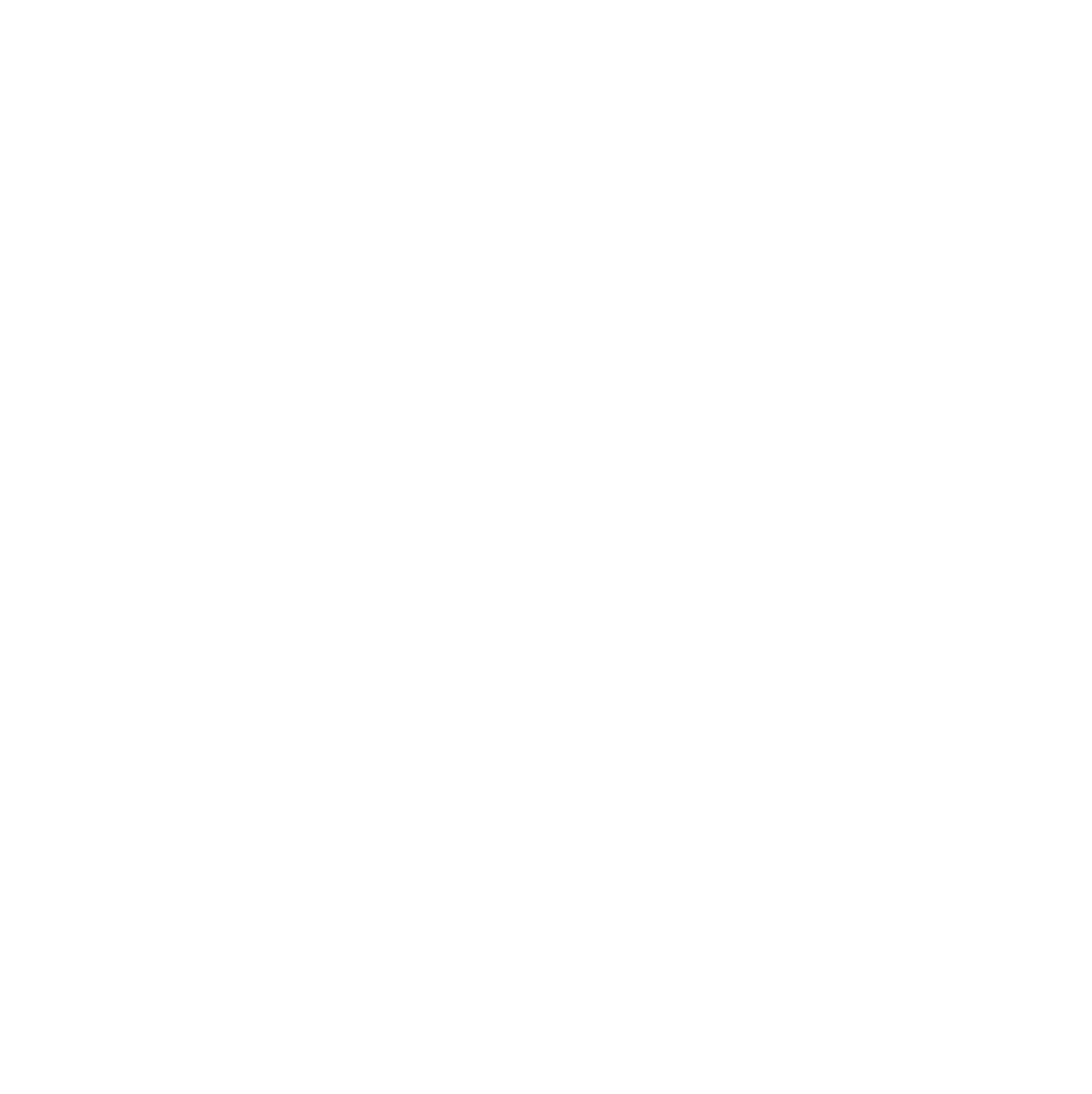 logo_white icon